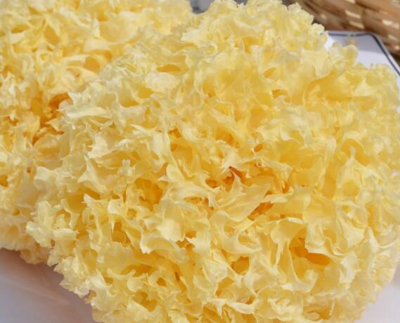 速食銀耳 速食銀耳